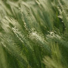 统一入口意象图